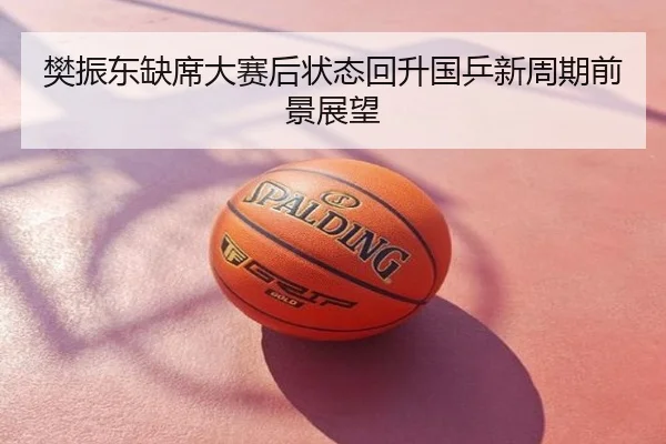 樊振东缺席大赛后状态回升国乒新周期前景展望